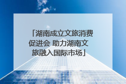 湖南成立文旅消费促进会 助力湖南文旅融入国际市场