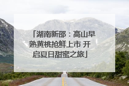 湖南新邵：高山早熟黄桃抢鲜上市 开启夏日甜蜜之旅