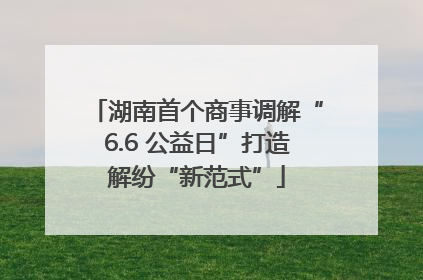 湖南首个商事调解“6.6 公益日”打造解纷“新范式”