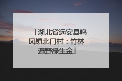 湖北省远安县鸣凤镇北门村：竹林遍野绿生金