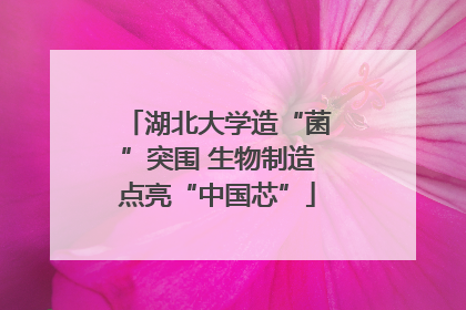 湖北大学造“菌”突围 生物制造点亮“中国芯”