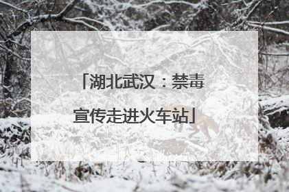 湖北武汉：禁毒宣传走进火车站