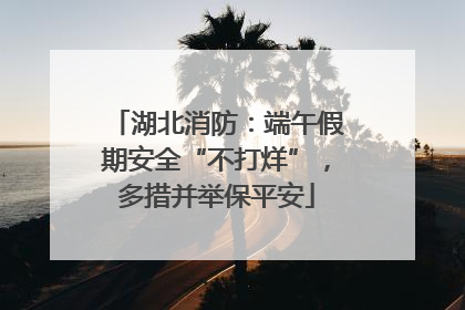 湖北消防：端午假期安全“不打烊”，多措并举保平安