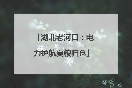 湖北老河口：电力护航夏粮归仓