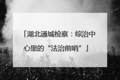 湖北通城检察：综治中心里的“法治前哨”