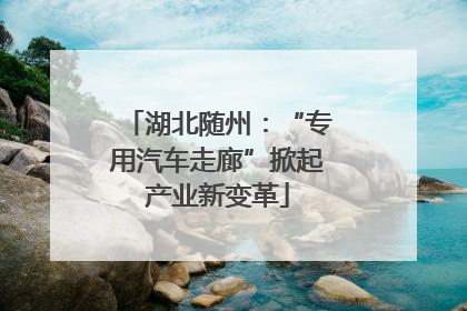 湖北随州：“专用汽车走廊”掀起产业新变革