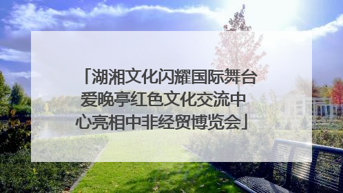 湖湘文化闪耀国际舞台 爱晚亭红色文化交流中心亮相中非经贸博览会