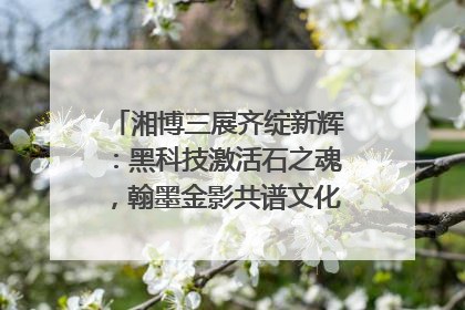 湘博三展齐绽新辉：黑科技激活石之魂，翰墨金影共谱文化遗产日华章