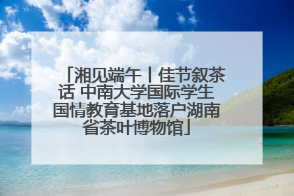 湘见端午丨佳节叙茶话 中南大学国际学生国情教育基地落户湖南省茶叶博物馆