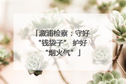 溆浦检察：守好“钱袋子” 护好“烟火气”