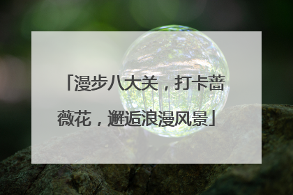 漫步八大关，打卡蔷薇花，邂逅浪漫风景
