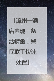 漳州一酒店内现一条活鳄鱼，警民联手快速处置