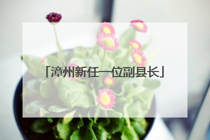 漳州新任一位副县长
