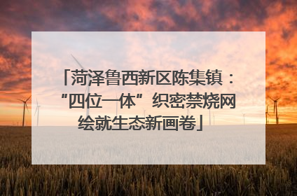 菏泽鲁西新区陈集镇：“四位一体”织密禁烧网 绘就生态新画卷