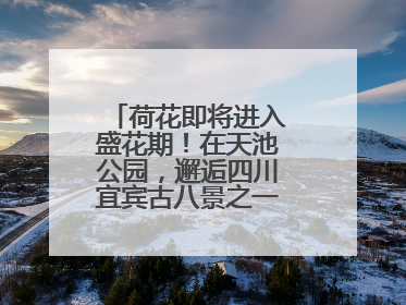 荷花即将进入盛花期！在天池公园，邂逅四川宜宾古八景之一“天池晚照”