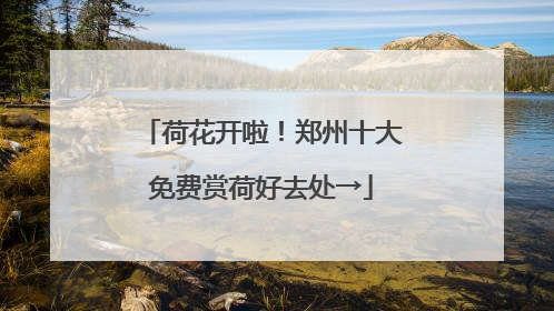 荷花开啦！郑州十大免费赏荷好去处→