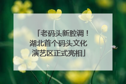 老码头新腔调！湖北首个码头文化演艺区正式亮相