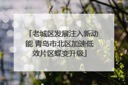 老城区发展注入新动能 青岛市北区加速低效片区蝶变升级