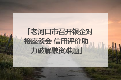 老河口市召开银企对接座谈会 信用评价助力破解融资难题