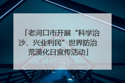 老河口市开展“科学治沙、兴业利民”世界防治荒漠化日宣传活动