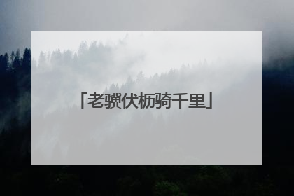 老骥伏枥骑千里
