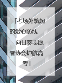 考场外筑起的爱心防线——向日葵志愿者协会护航高考