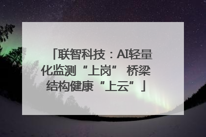 联智科技：AI轻量化监测“上岗” 桥梁结构健康“上云”