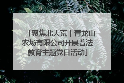 聚焦北大荒｜青龙山农场有限公司开展普法教育主题党日活动
