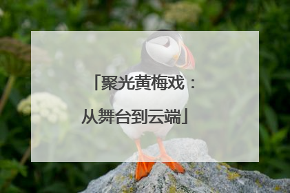 聚光黄梅戏：从舞台到云端