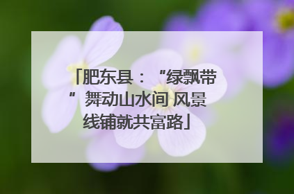 肥东县：“绿飘带”舞动山水间 风景线铺就共富路