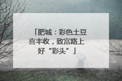 肥城：彩色土豆喜丰收，致富路上好“彩头”