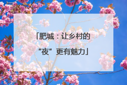 肥城：让乡村的“夜”更有魅力