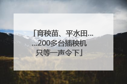 育秧苗、平水田……200多台插秧机只等一声令下