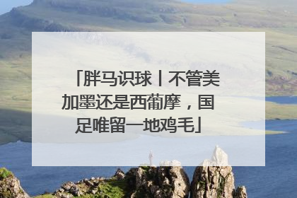 胖马识球丨不管美加墨还是西葡摩，国足唯留一地鸡毛