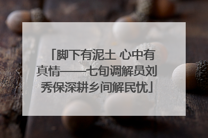 脚下有泥土 心中有真情——七旬调解员刘秀保深耕乡间解民忧