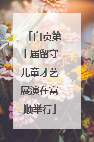 自贡第十届留守儿童才艺展演在富顺举行