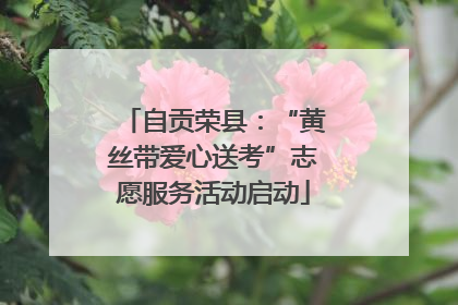 自贡荣县：“黄丝带爱心送考”志愿服务活动启动