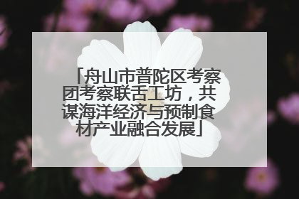 舟山市普陀区考察团考察联舌工坊，共谋海洋经济与预制食材产业融合发展