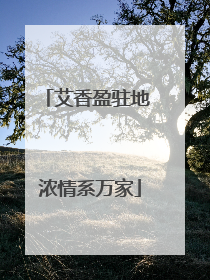 艾香盈驻地 浓情系万家