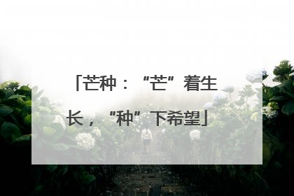 芒种：“芒”着生长，“种”下希望