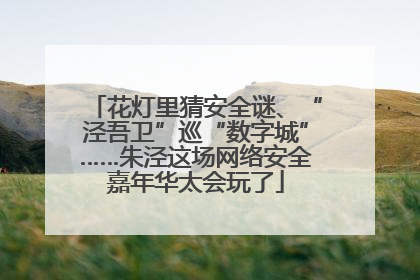花灯里猜安全谜、“泾吾卫”巡“数字城”……朱泾这场网络安全嘉年华太会玩了