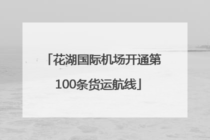 花湖国际机场开通第100条货运航线