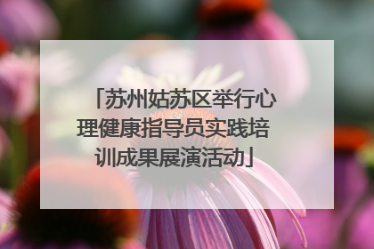 苏州姑苏区举行心理健康指导员实践培训成果展演活动