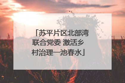 苏平片区北部湾联合党委 激活乡村治理一池春水