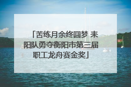 苦练月余终圆梦 耒阳队勇夺衡阳市第三届职工龙舟赛金奖