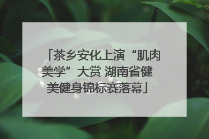茶乡安化上演“肌肉美学”大赏 湖南省健美健身锦标赛落幕