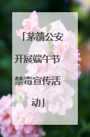 茅箭公安开展端午节禁毒宣传活动