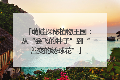 萌娃探秘植物王国：从“会飞的种子”到“善变的绣球花”