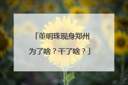 董明珠现身郑州 为了啥？干了啥？