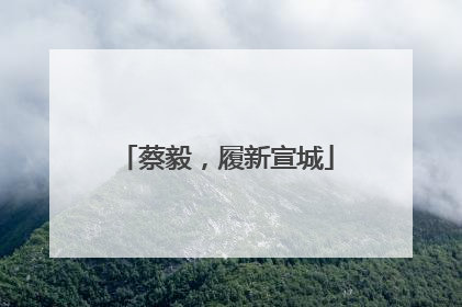 蔡毅，履新宣城